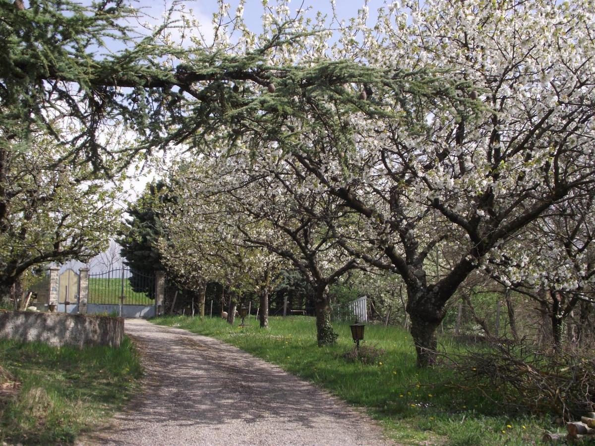 Domaine Des Cigales, Chambre D'Hotes Saint-Martin-d'Aout Buitenkant foto